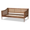 Baxton Studio Ogden Mid-Century Walnut Brown Finished Wood and Synthetic Rattan Twin Size Daybed 194-11517-ZORO
